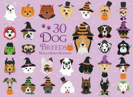 Set of 30 dog breeds with Halloween costumes vector