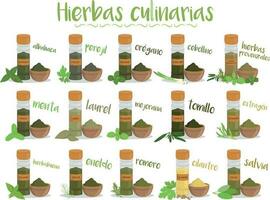 Set of 15 different culinary herbs in cartoon style. Spanish names. vector