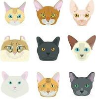 Cat breeds Vector Collection. Set of 9 different cat breeds in cartoon style.