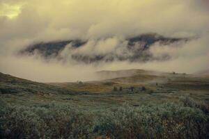 Cloudy Norwegian Landscape photo