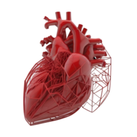 Human Heart, Internal Organ, Heart Shape, Human Heart isolated on Transparent background, Three Dimensional, Anatomy, Generate Ai png