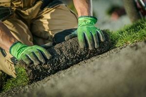 Natural Grass Turf Installer photo