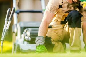 Caucasian Landscaper Inspecting Backyard Lawn Grass photo