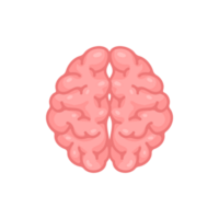 Human brain jagged. The concept of developing learning and creativity skills. png