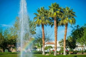 La Quinta Park Fountain photo