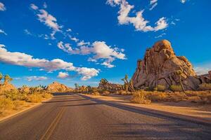 Joshua Tree National Park photo