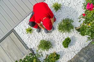 Professional Landscaper Installing Modern LED Lighting Inside Newly Designed Backyard Garden photo