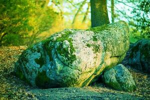 Magic Mossy Boulder photo