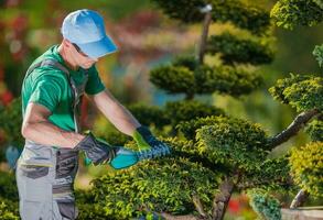 Topiary Gardener Plant Shaper photo