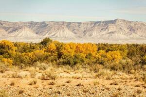 Scenic Grand Junction Colorado Landscape photo