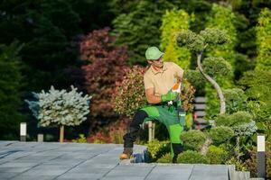 Landscaper Working with Mini Hedge Trimmer photo