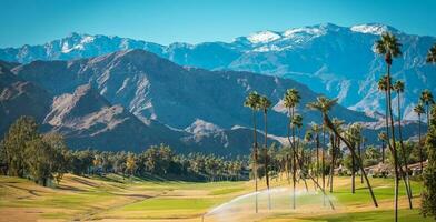 Sunny Winter Time in the Palm Desert Coachella Valley photo