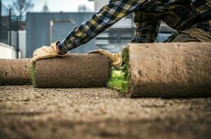 rollos de natural césped céspedes preparado para un patio interior jardín instalación foto