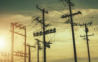 Wooden Electric Poles and High Voltage Infrastructure photo