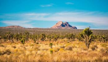 mojave Desierto paisaje foto