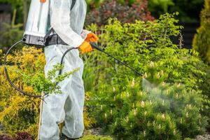 jardinero ejecutando pesticida solicitud foto