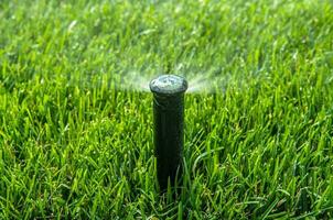 Automatic Pop Up Lawn Sprinkler Close Up photo