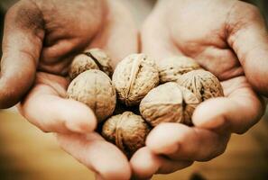 nueces en cocinero manos foto