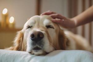 perro en real vida, contento momento con mascota ai generativo foto