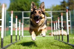 perro en real vida, contento momento con mascota ai generativo foto