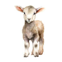 mouton agneau aquarelle clipart ai généré png