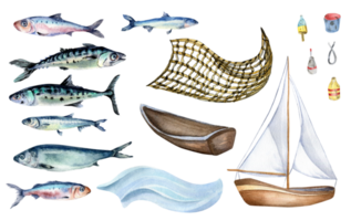 Set of various fresh sea fish watercolor illustration. Fish net and mackerel, herring, anchovy, sardine hand drawn. Design element for cookbook, signboard, menu, market, packaging. png