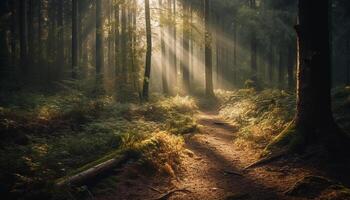 tranquilo bosque sendero, otoño hojas, misterio en el aire generado por ai foto