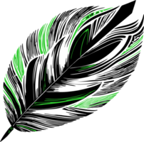 black and green graphic drawing bird feather no background, isolated element png