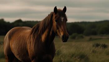 Stallion grazes in tranquil meadow at sunset, surrounded by beauty generated by AI photo