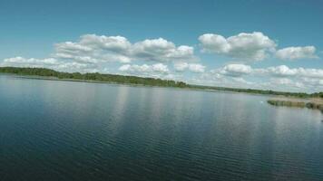 vite et maniable vol plus de le Lac avec roseaux. filmé sur fpv drone video