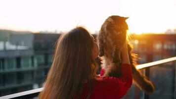 Woman circles a fluffy cat in her arms and presses it to her face. Love to the animals. Slow motion video