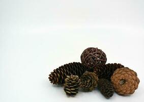 pine cones arrangement - still life photo