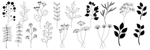 Tiny plantsand flowers, set of cute linear hand drawn botanical illustrations vector