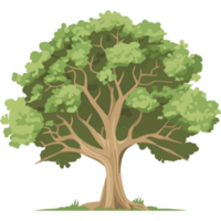grön lövverk natur tillväxt träd ikon isolerat png