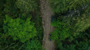 aéreo Visão do atv equipe dirigindo através a floresta dentro a montanhas video