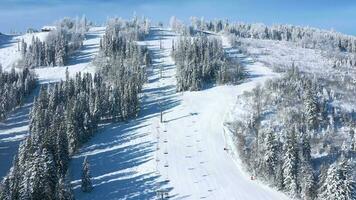 Top view of a fabulous winter forest in clear sunny day video