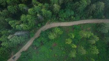 Antenne Aussicht von ein Fernseher Mannschaft Fahren durch das Wald im das Berge video