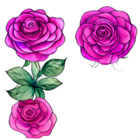 Watercolor vintage rose floral generated ai png
