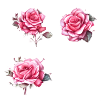 aquarelle ancien Rose floral généré ai png