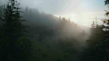 antenn se av mystisk berg landskap. dimma stiger över de berg sluttningar video