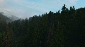 aéreo ver de místico montaña paisaje. niebla sube terminado el montaña pendientes video