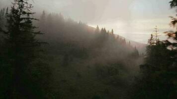 Antenne Aussicht von mystisch Berg Landschaft. Nebel steigt an Über das Berg Pisten video