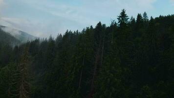 Aerial view of mystical mountain landscape. Fog rises over the mountain slopes video