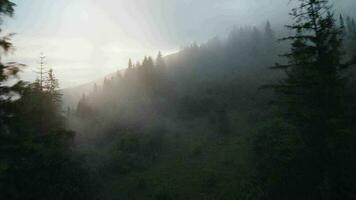 antenn se av mystisk berg landskap. dimma stiger över de berg sluttningar video
