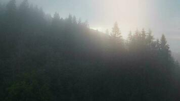 aéreo ver de místico montaña paisaje. niebla sube terminado el montaña pendientes video