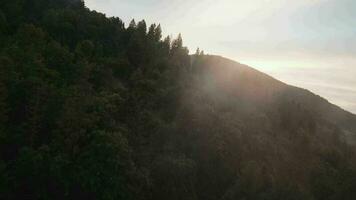 aéreo ver de místico montaña paisaje. niebla sube terminado el montaña pendientes video