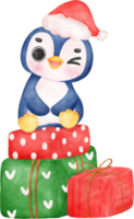 Cute adorable baby joyful penguin sits on christmas present gift box cartoon character watercolor hand drawing png