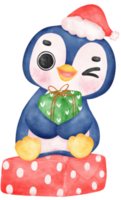 Cute adorable baby joyful penguin sits on christmas present gift box cartoon character watercolor hand drawing png