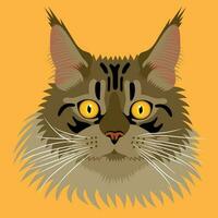 Maine coon flat portrait illustration vector