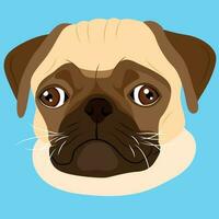 Pug flat portrait illustration vector